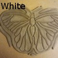 JacobAllenWhite